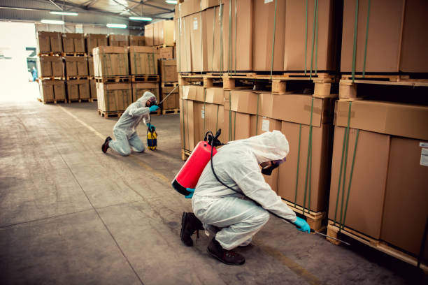 Best Best Pest Control Companies  in Argyle, TX
