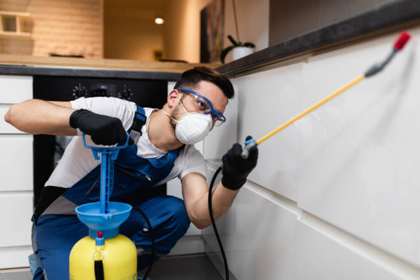 Best Bed Bug Extermination  in Argyle, TX