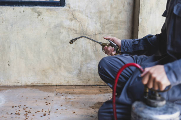 Pest Prevention Services in Argyle, TX