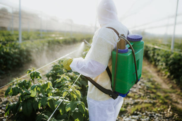 Reliable Argyle, TX Pest Control Solutions